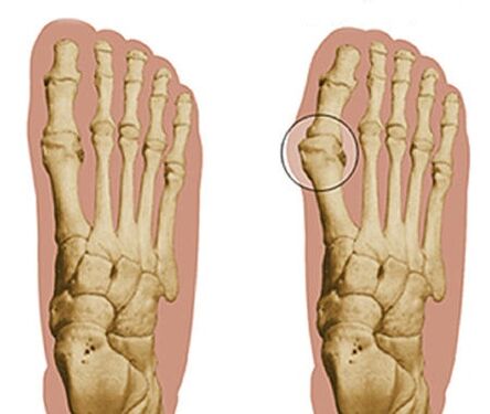 To develop the foot